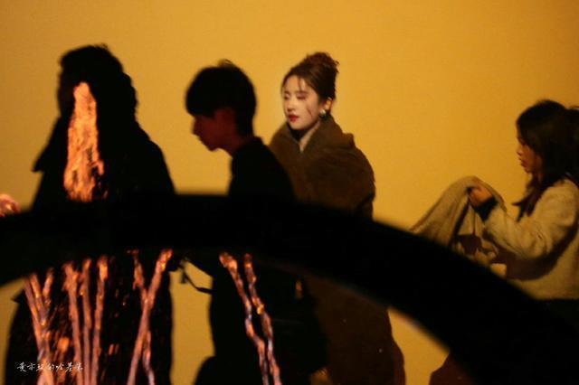 刘亦菲穿粉色羽毛一字肩长裙 盘发造型气质温婉似公主