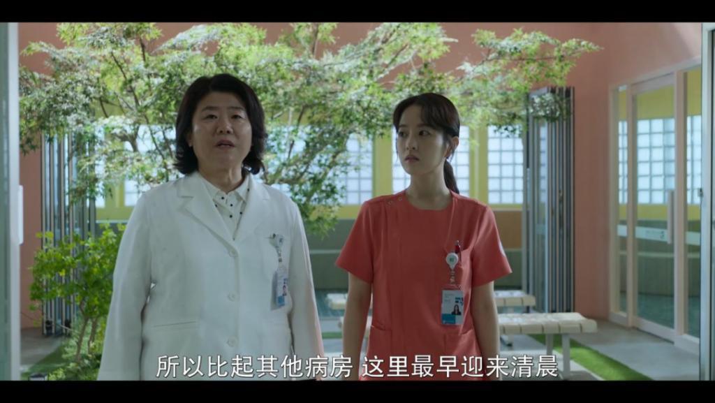 评分又涨了，这部年度最佳它值得