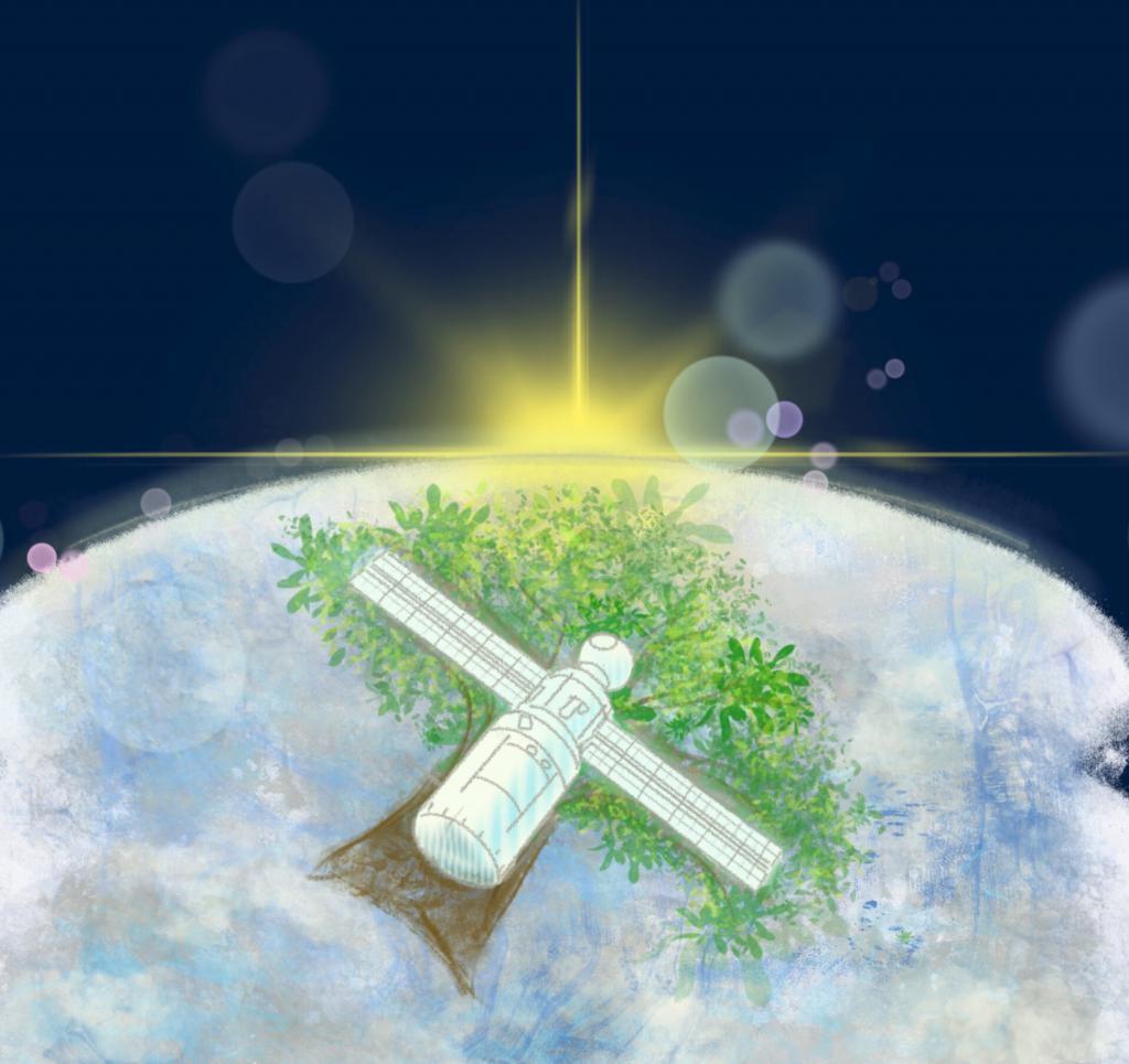 木兰木制成，美国宇航局计划明年发射全球首个木制卫星 LignoSat