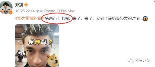 他俩又恋爱了？是一直没分手还是旧情复燃啊？
