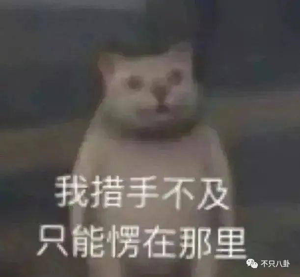 娱乐圈又有新孩子，他让前女友未婚生子却迟迟不肯结婚？