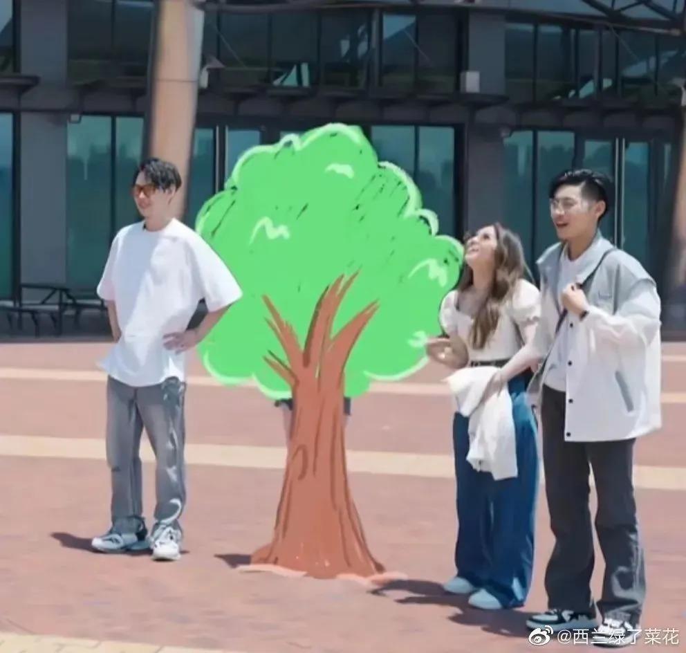 求求张雨绮们别再卖惨了