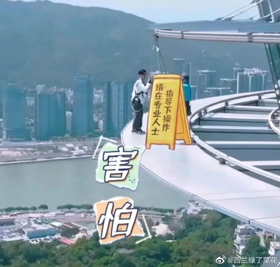 求求张雨绮们别再卖惨了