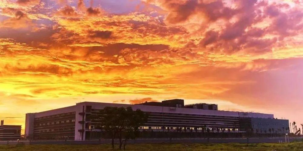 中国手机，在南洋“杀疯了”