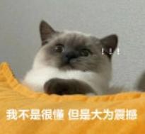 唐禹哲：前脚被起哄求婚，后脚自爆未婚生子11年