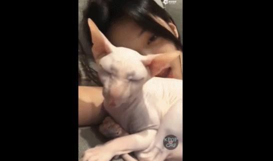 真理啊，世界并没有变得更好