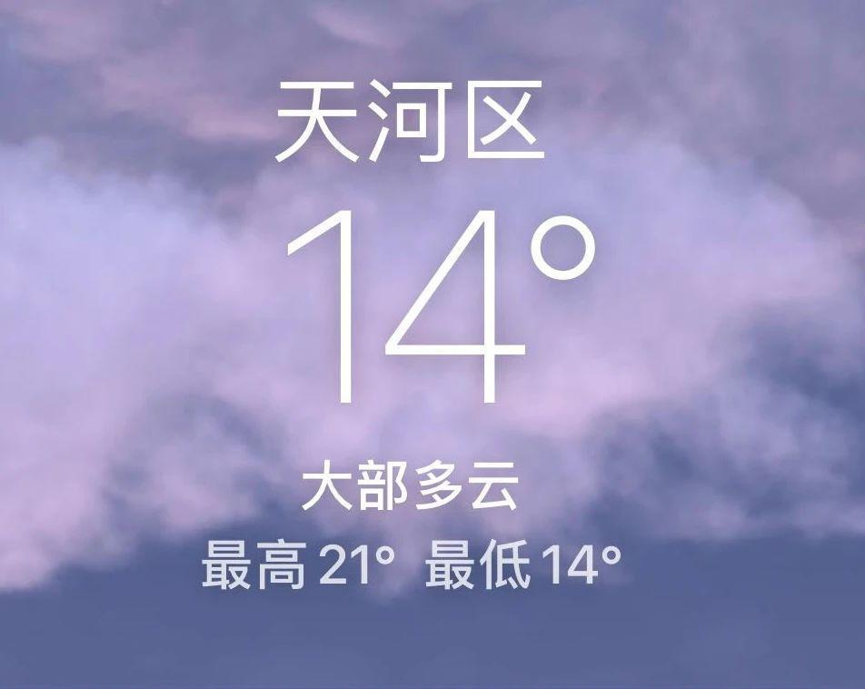 富人区捡垃圾，简直赢麻了！