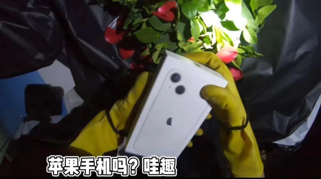 富人区捡垃圾，简直赢麻了！