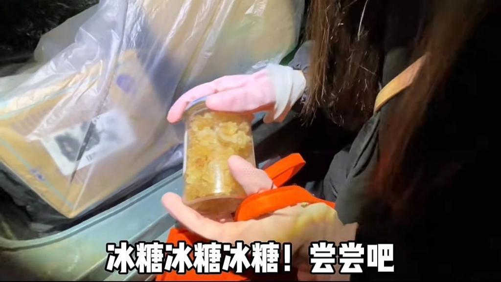 富人区捡垃圾，简直赢麻了！