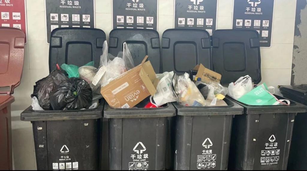 富人区捡垃圾，简直赢麻了！