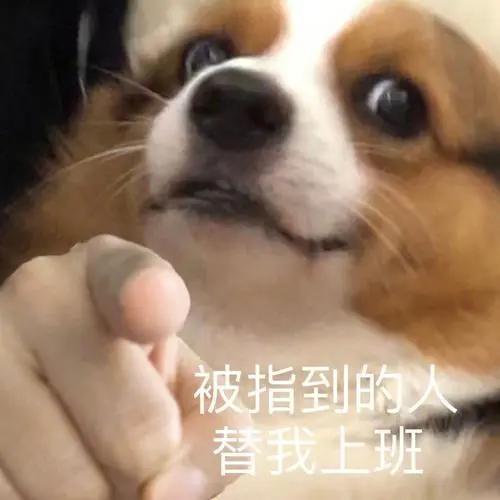 车企也要搞大模型，但他们基本还在第一层。