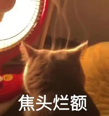 车企也要搞大模型，但他们基本还在第一层。