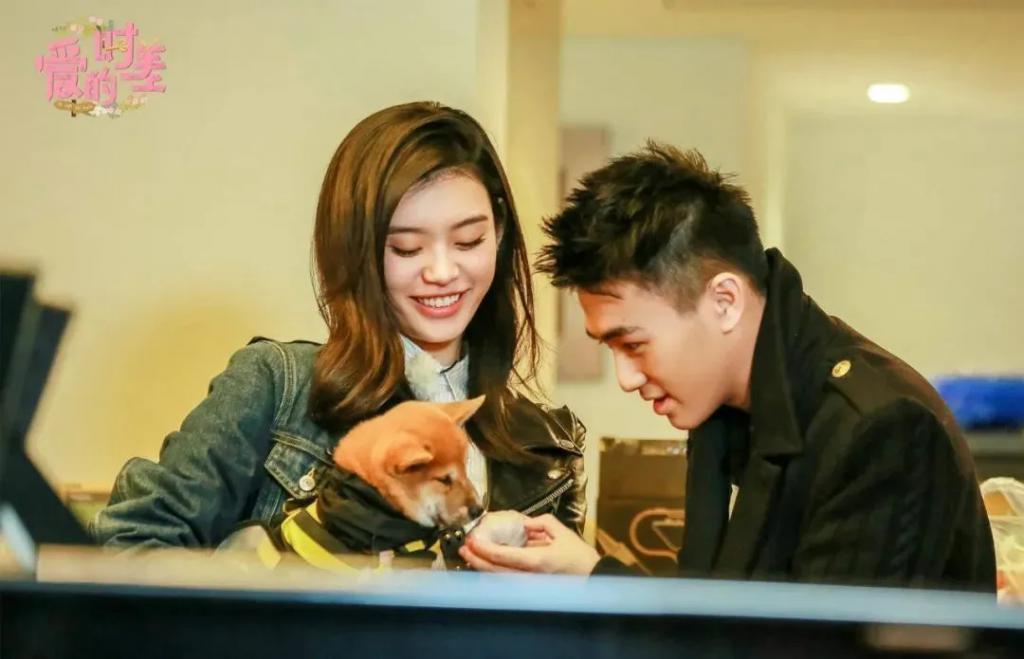 奚梦瑶何猷君的婚姻，反转了