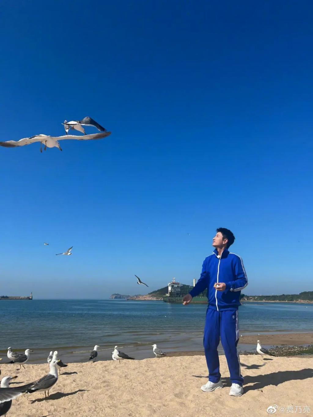 贾乃亮，你不老实。