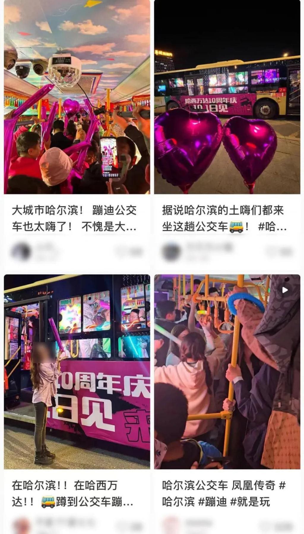 门票2元的东北野迪，震惊南方人一整年