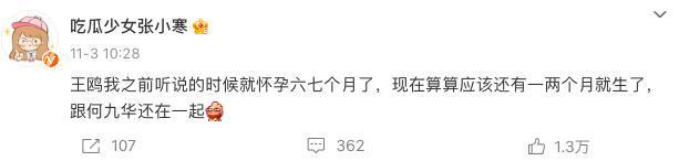 哈？她悄咪咪怀孕了？