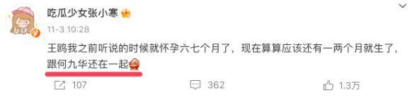 哈？她悄咪咪怀孕了？