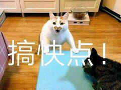 微信正式宣布！这种国产小视频要下架了