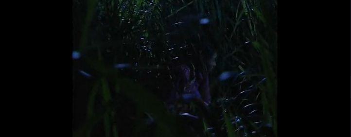 宫斗剧巅峰，至今没被超越