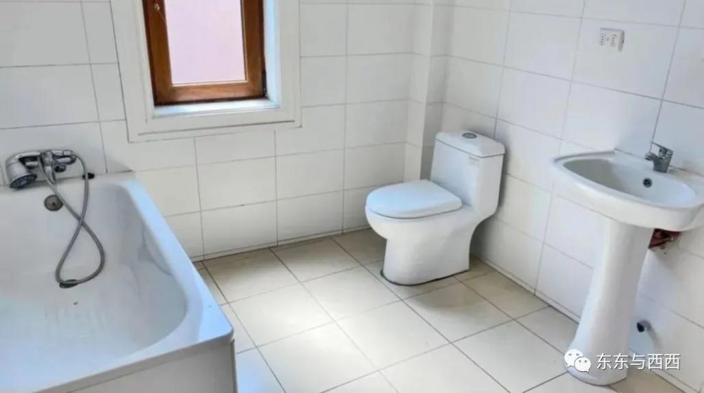 最年轻85后总统自曝与女友分手，她连第一夫人都不想当