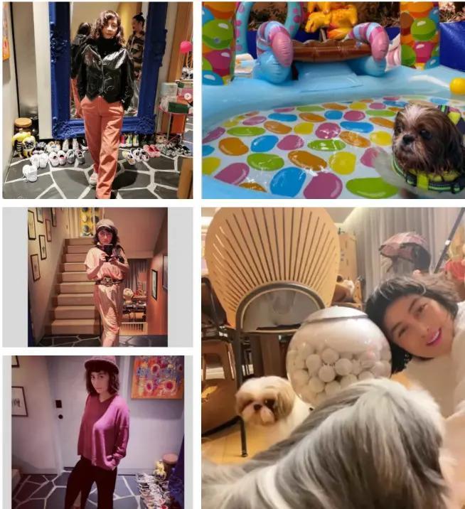 赌王家事之叛逆女儿生存记