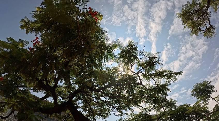 影石 Insta360 Ace Pro 发布：自带翻转屏的运动相机，超友好的入门选择