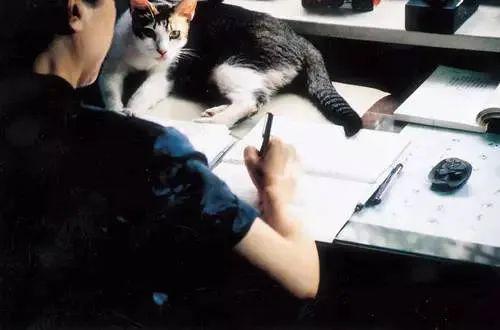 还是侯孝贤拍的女人最好看