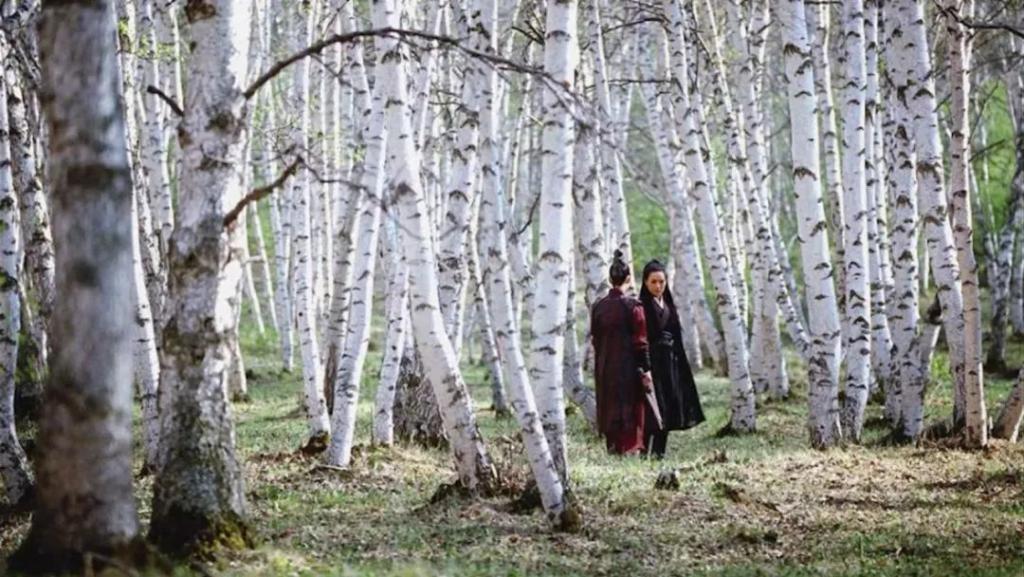 还是侯孝贤拍的女人最好看