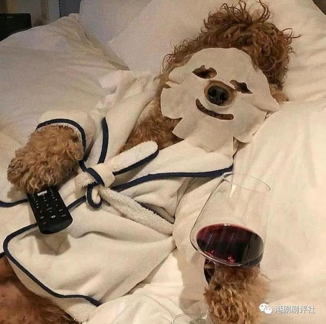 73岁老戏骨与小36岁女友造人成功？女方回应了