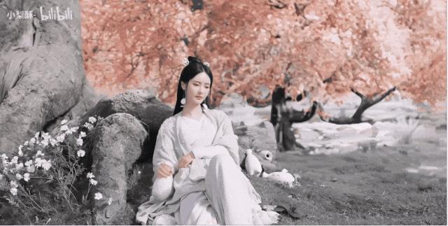 最美甄宓，怎么从杨幂接班人变成了IP富婆