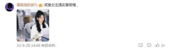 最美甄宓，怎么从杨幂接班人变成了IP富婆