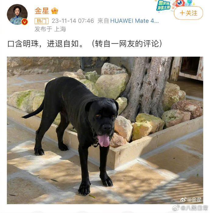 给董明珠造黄谣，这群人怎么想的？？？