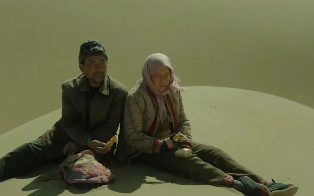 全员被嘲，活该？