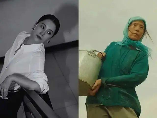 全员被嘲，活该？