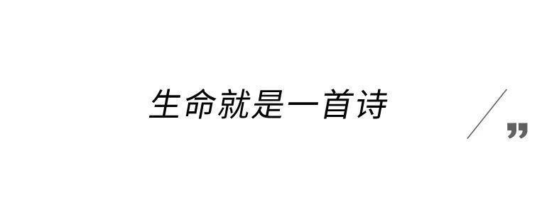 一集9.4，这神作爽飞了