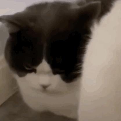 给我看笑了！8TB 硬盘实际只有 134GB