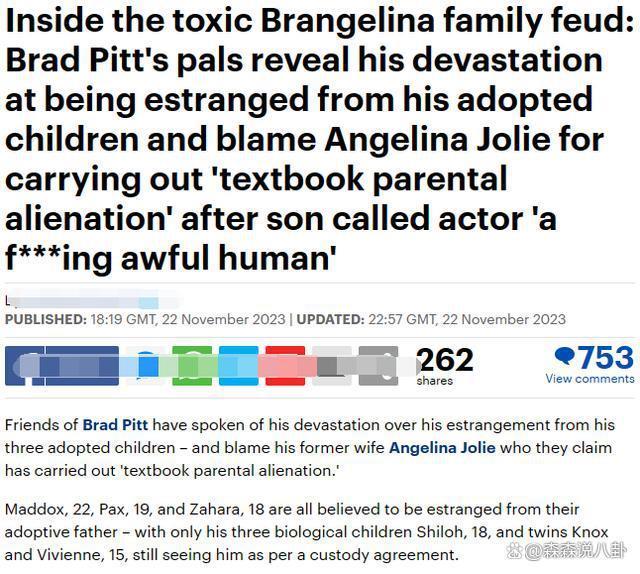 皮特被越南养子辱骂，彻底心寒已放弃监护养子女，多年不来往