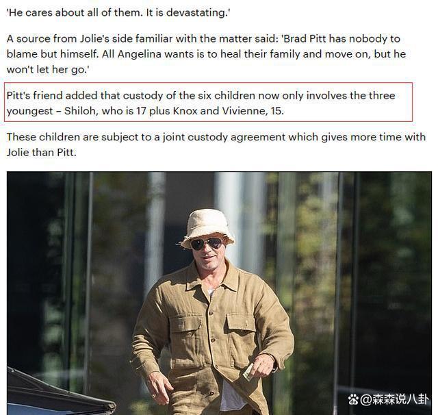 皮特被越南养子辱骂，彻底心寒已放弃监护养子女，多年不来往