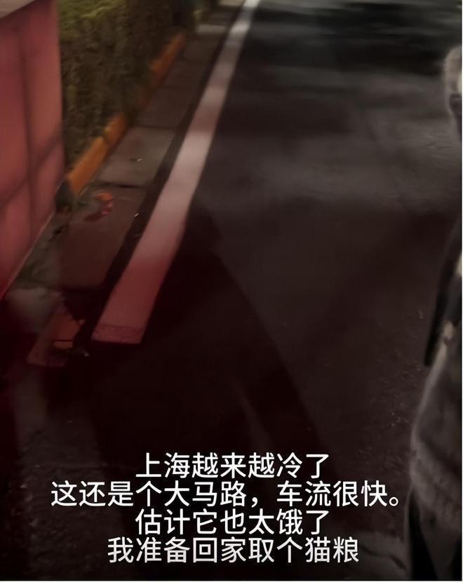 叶珂与黄晓明出国旅行 深夜去男方家小海绵也在场