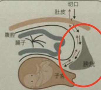 奚梦瑶新型炫富：生孩子不痛？
