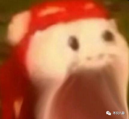 闪结闪离，有关这桩婚姻的传闻越来越魔幻了