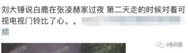 分分合合都是为了剧？