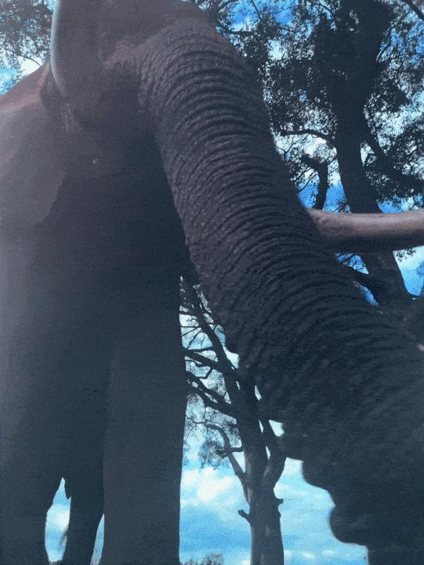 世界最大的网红球，1个月就亏了7个亿