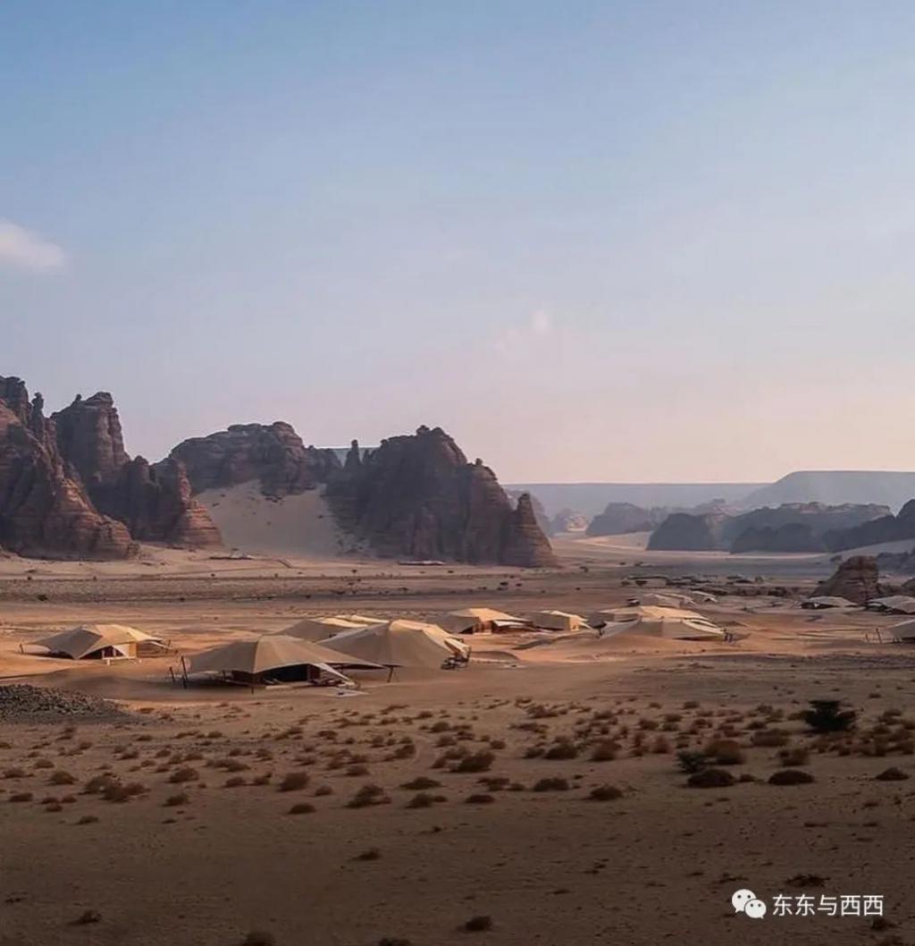 被顶流老公PUA到没朋友，吃饭穿衣都做不了主，离婚还是死撑