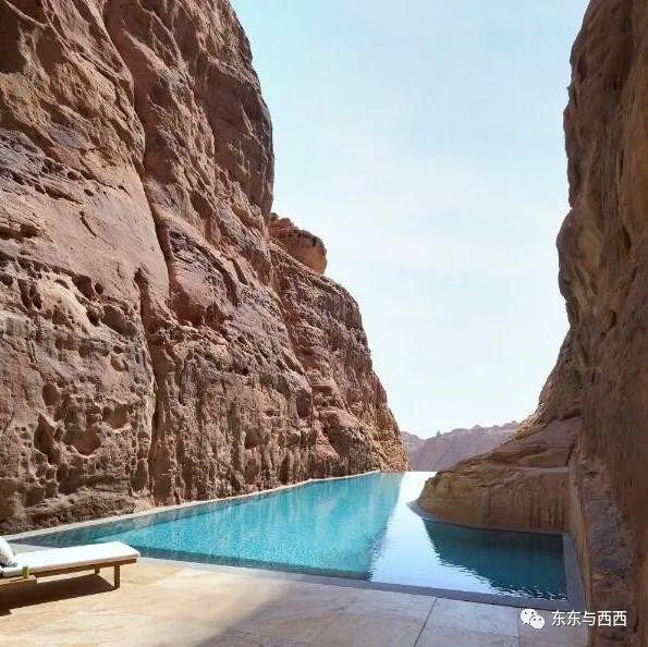 被顶流老公PUA到没朋友，吃饭穿衣都做不了主，离婚还是死撑