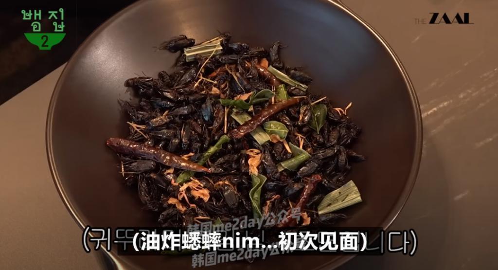 前老板去前员工节目里宣传新专是种什么体验