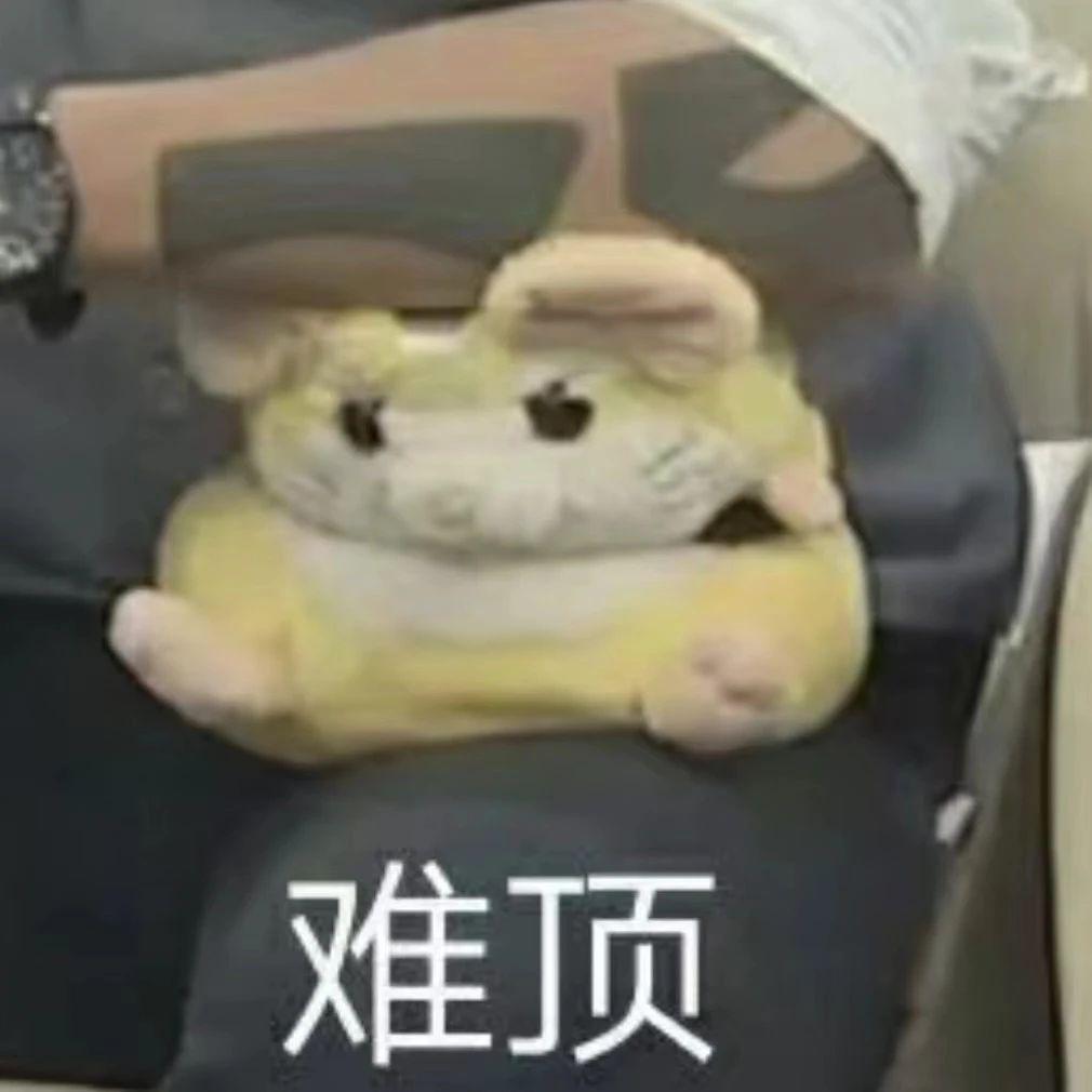 男大招嫖后求助警察，这节目全程打码