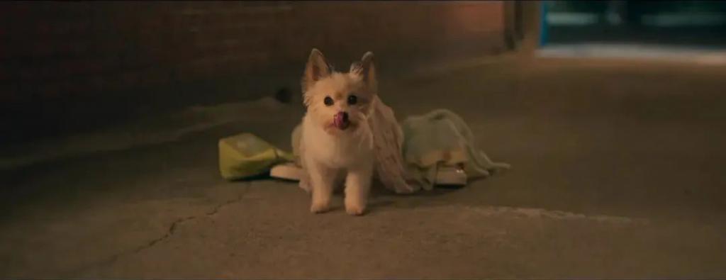 等这么久，他终于脱了