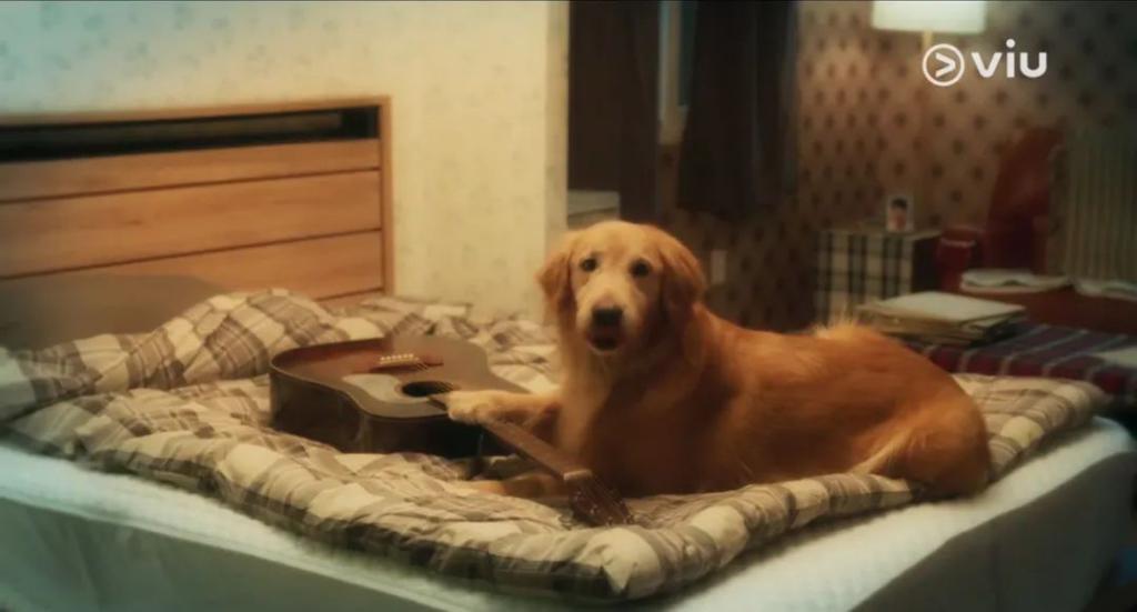 等这么久，他终于脱了