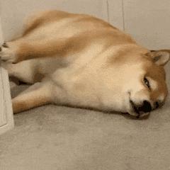 恋爱味儿的 “ 查岗 App ” ，功能好窒息！